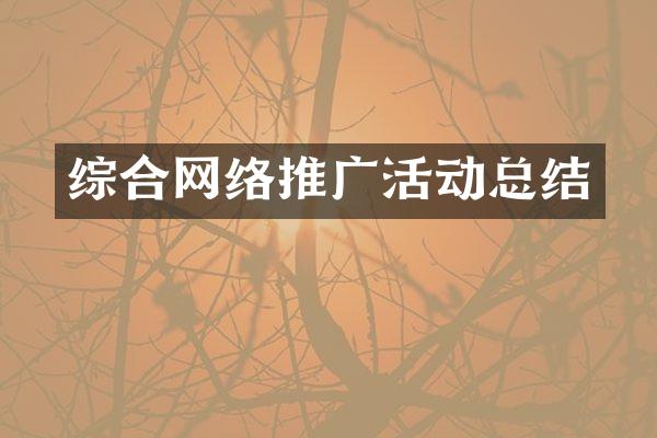 综合网络推广活动总结