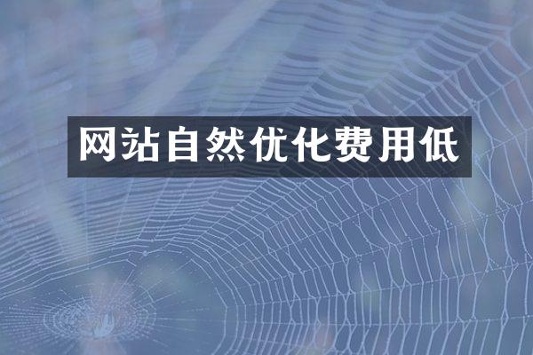 网站自然优化费用低