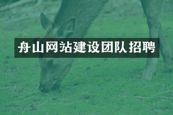 舟山网站建设团队招聘
