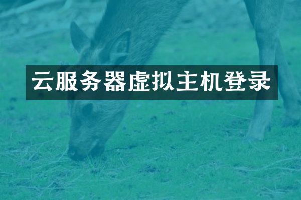 云服务器虚拟主机登录