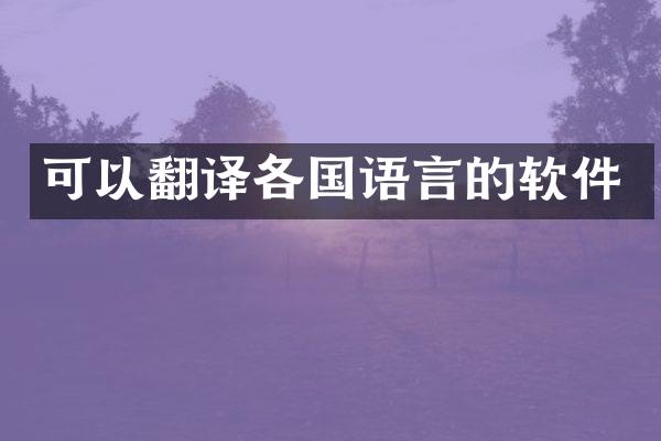 可以翻译各国语言的软件