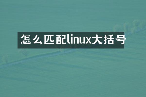 怎么匹配linux大括号