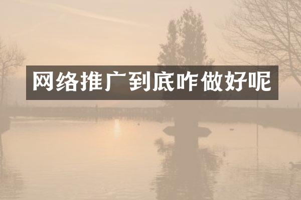 网络推广到底咋做好呢