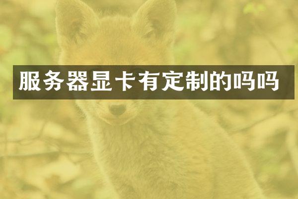 服务器显卡有定制的吗吗