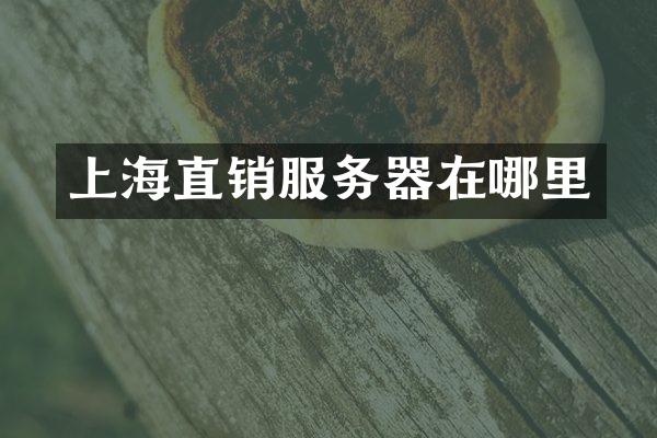上海直销服务器在哪里