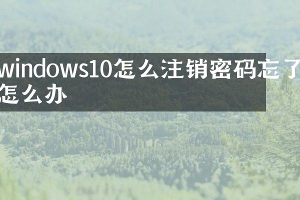 windows10怎么注销密码忘了怎么办