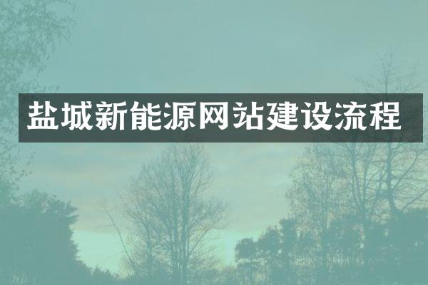 盐城新能源网站建设流程