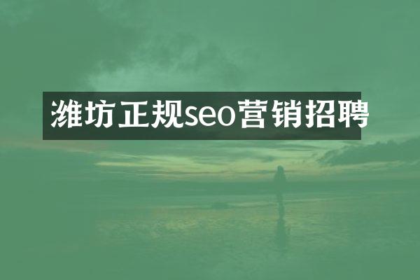 潍坊正规seo营销招聘