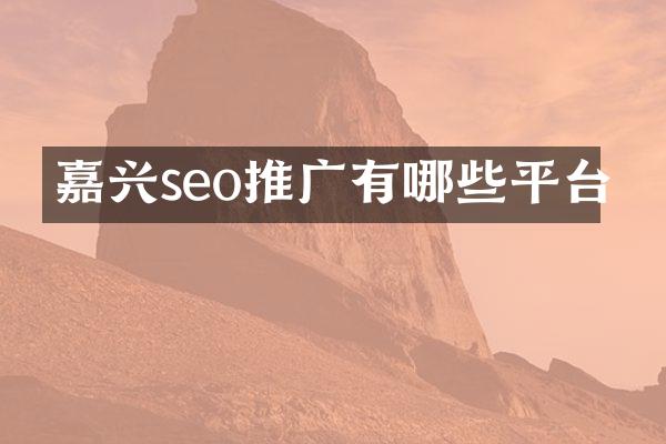 嘉兴seo推广有哪些平台