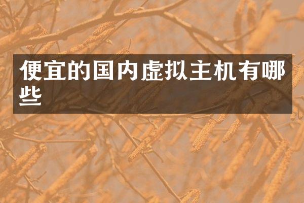 便宜的国内虚拟主机有哪些