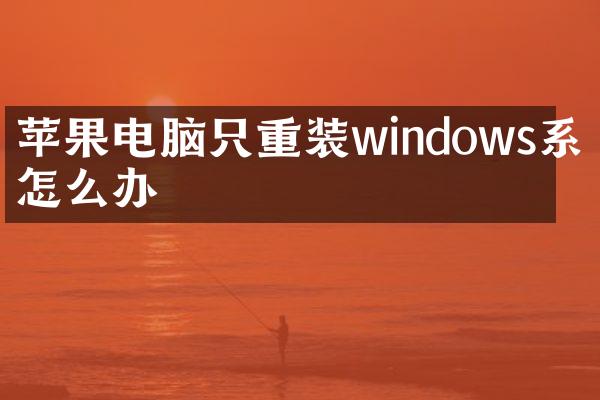 苹果电脑只重装windows系统怎么办
