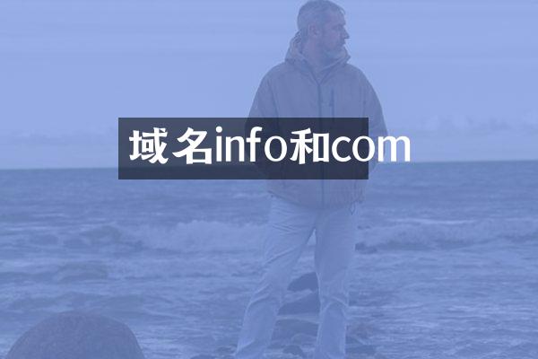 域名info和com