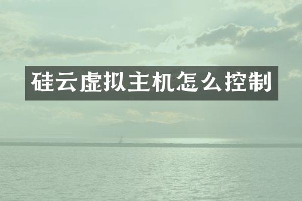 硅云虚拟主机怎么控制