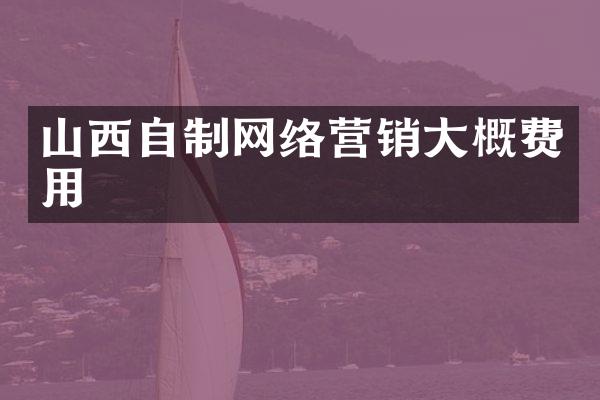山西自制网络营销大概费用