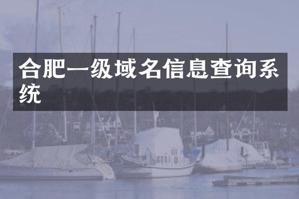 合肥一级域名信息查询系统