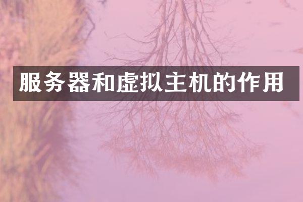 服务器和虚拟主机的作用