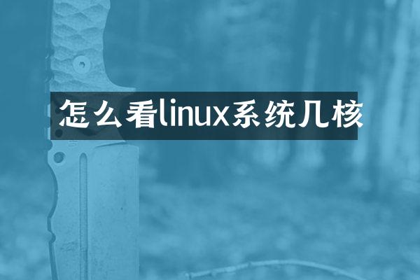 怎么看linux系统几核