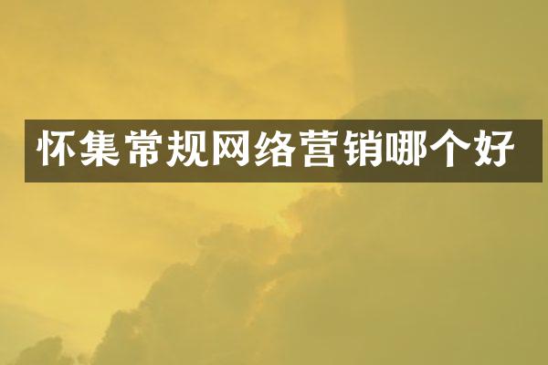 怀集常规网络营销哪个好