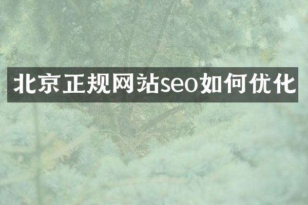 北京正规网站seo如何优化