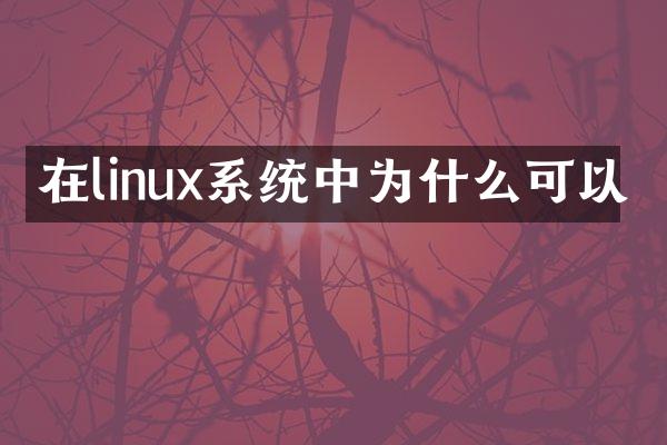 在linux系统中为什么可以