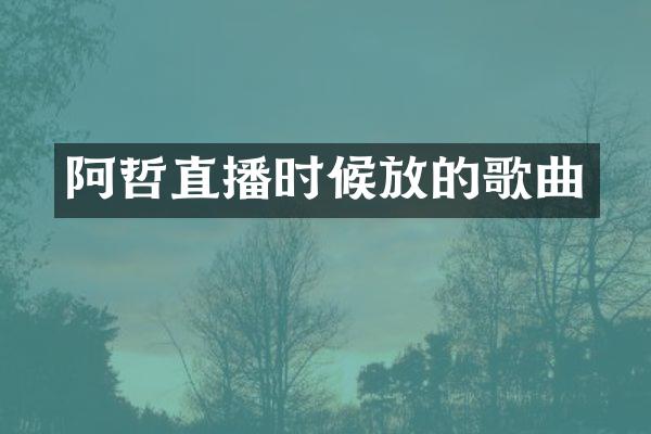 阿哲直播时候放的歌曲