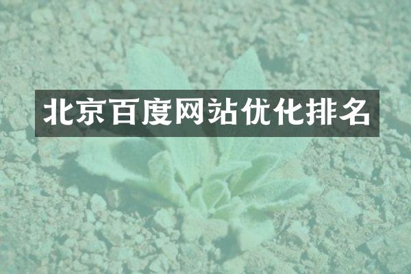 北京百度网站优化排名
