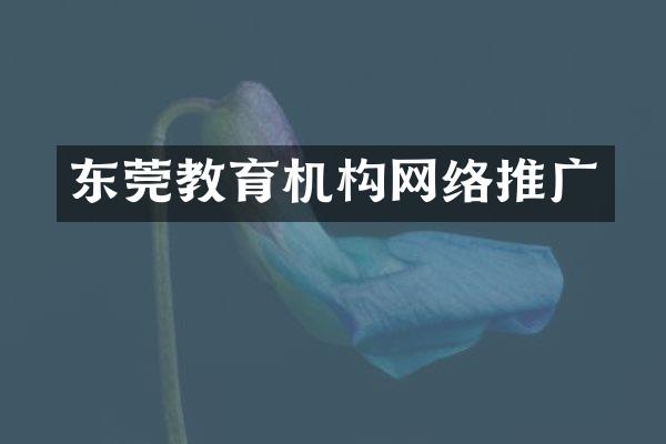 东莞教育机构网络推广