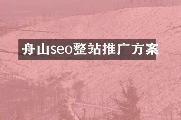 舟山seo整站推广方案
