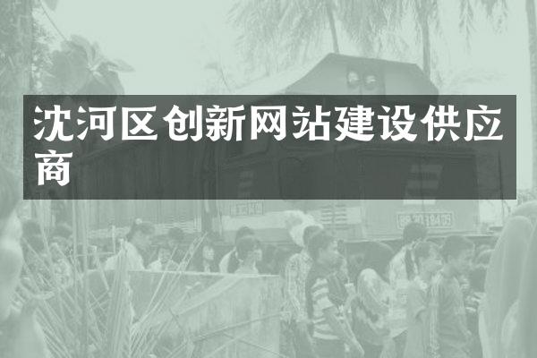 沈河区创新网站建设供应商