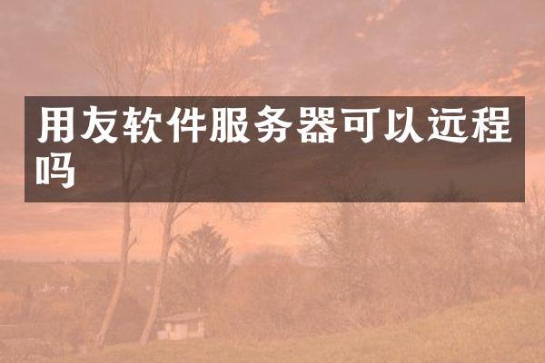 用友软件服务器可以远程吗