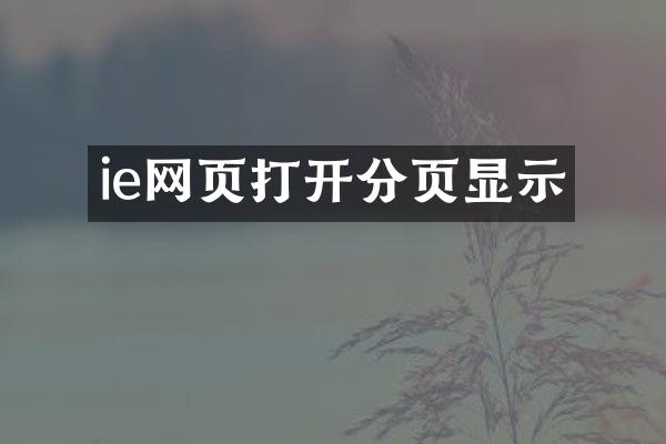 ie网页打开分页显示