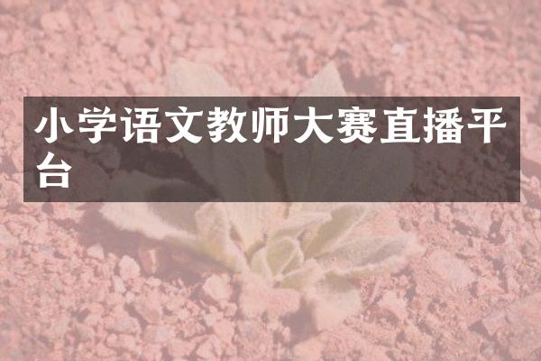 小学语文教师大赛直播平台