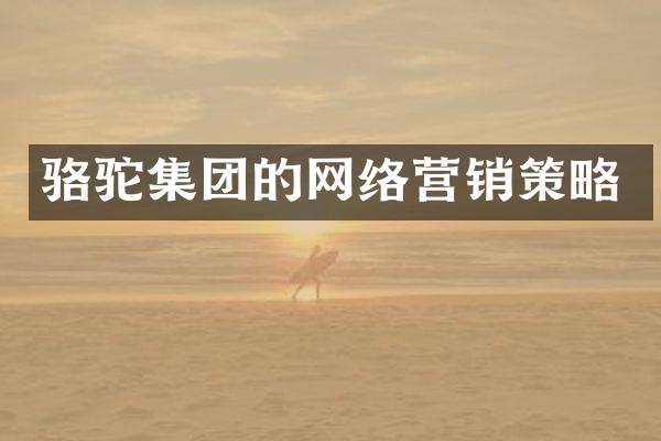 骆驼集团的网络营销策略