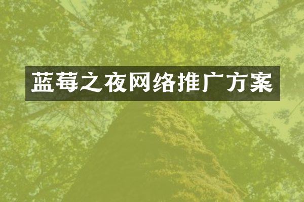 蓝莓之夜网络推广方案