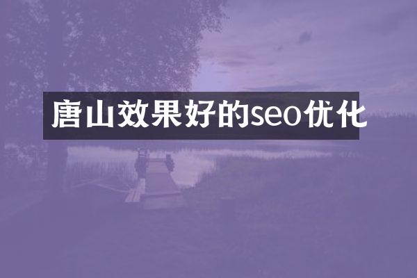 唐山效果好的seo优化