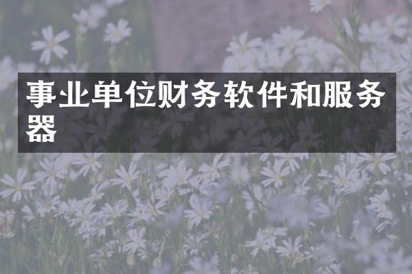 事业单位财务软件和服务器