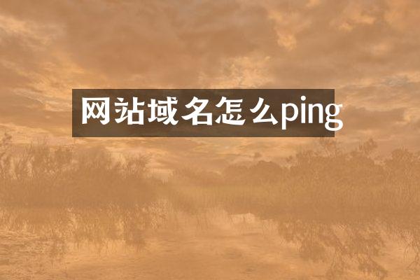 网站域名怎么ping