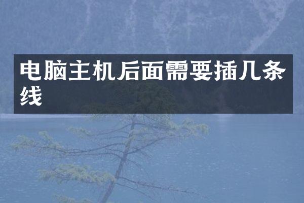 电脑主机后面需要插几条线