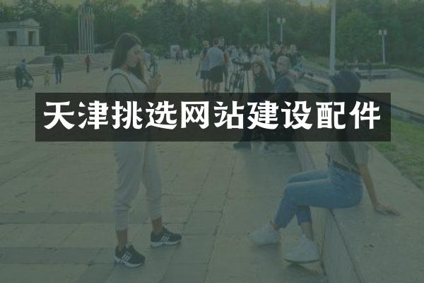 天津挑选网站建设配件