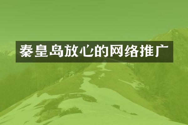 秦皇岛放心的网络推广