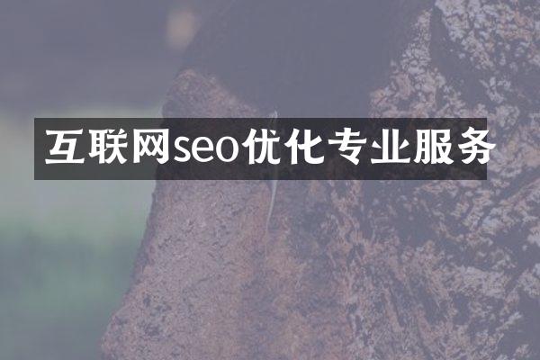 互联网seo优化专业服务