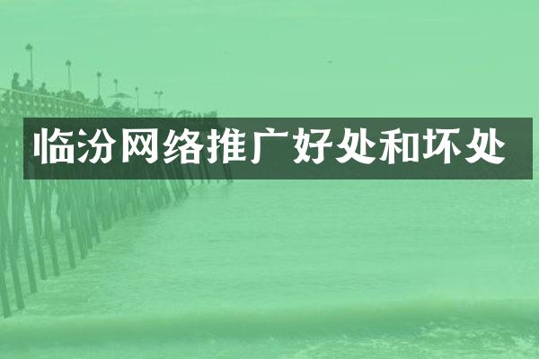 临汾网络推广好处和坏处