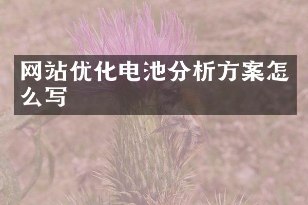 网站优化电池分析方案怎么写