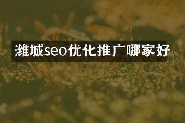 潍城seo优化推广哪家好