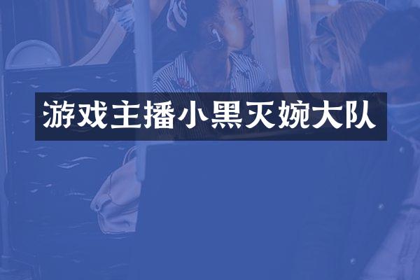 游戏主播小黑灭婉大队