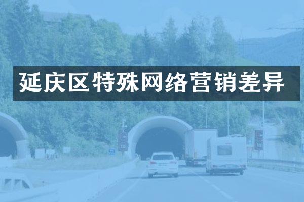 延庆区特殊网络营销差异