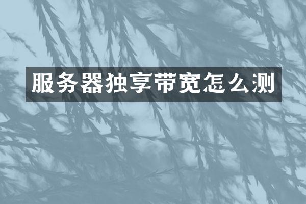 服务器独享带宽怎么测