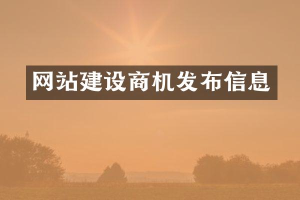 网站建设商机发布信息