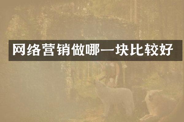 网络营销做哪一块比较好