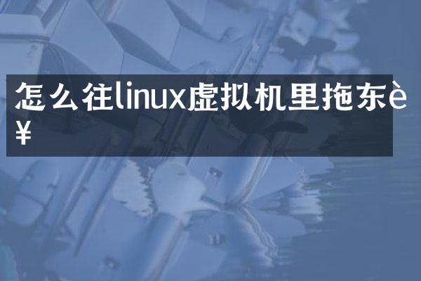 怎么往linux虚拟机里拖东西